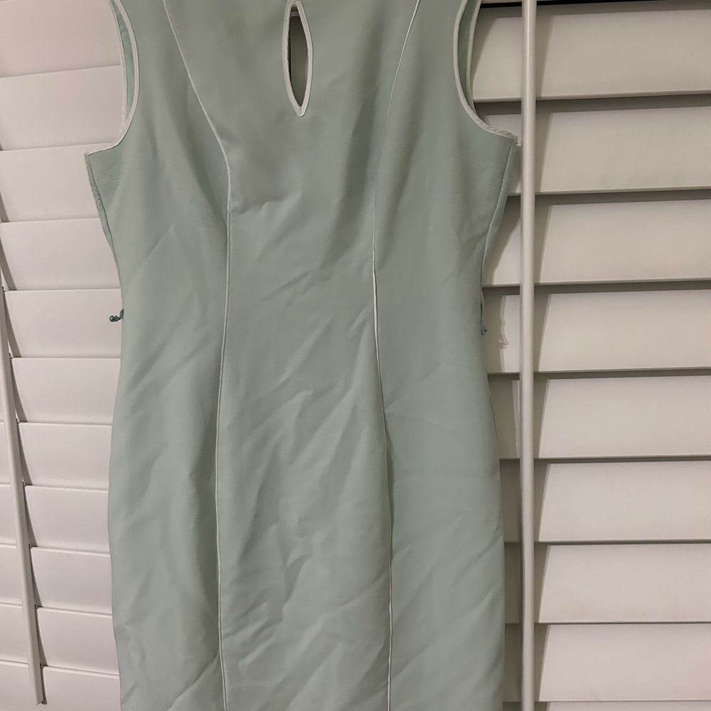 Eva Mendes for New York & Company Mint knee length Dress